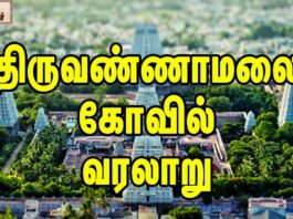 THIRUVANNAMALAI TEMPLE HISTORY IN TAMIL